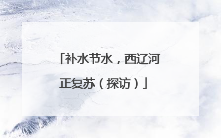 补水节水，西辽河正复苏（探访）