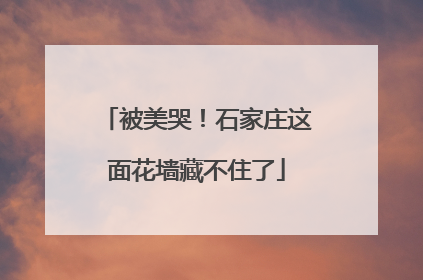 被美哭！石家庄这面花墙藏不住了