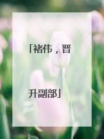 褚伟，晋升副部