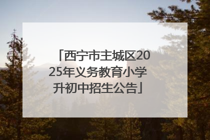 西宁市主城区2025年义务教育小学升初中招生公告