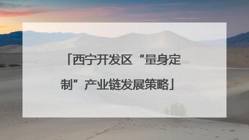 西宁开发区“量身定制”产业链发展策略