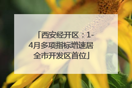 西安经开区：1-4月多项指标增速居全市开发区首位
