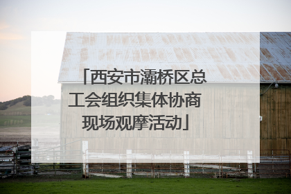 西安市灞桥区总工会组织集体协商现场观摩活动