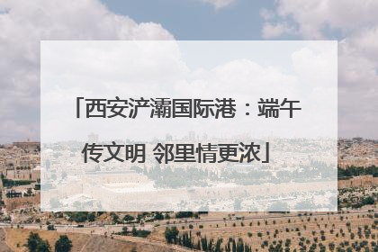西安浐灞国际港：端午传文明 邻里情更浓