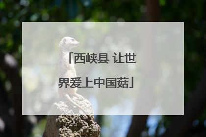 西峡县 让世界爱上中国菇
