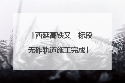 西延高铁又一标段无砟轨道施工完成