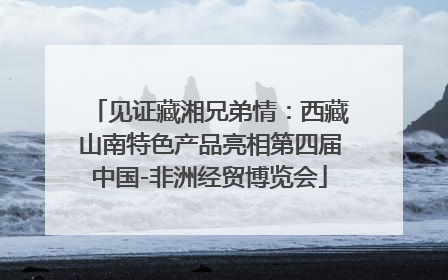 见证藏湘兄弟情：西藏山南特色产品亮相第四届中国-非洲经贸博览会