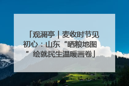 观澜亭｜麦收时节见初心：山东“晒粮地图”绘就民生温暖画卷