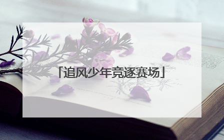 追风少年竞逐赛场