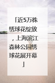 近5万株绣球花绽放，上海滨江森林公园绣球花展开幕