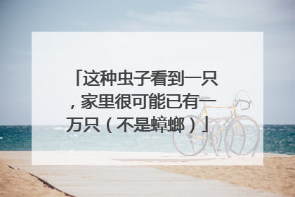这种虫子看到一只，家里很可能已有一万只（不是蟑螂）