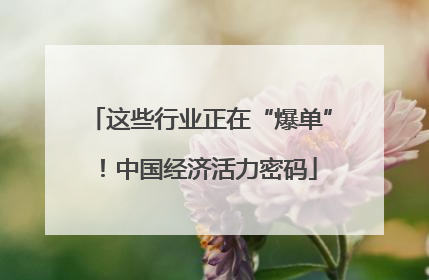 这些行业正在“爆单”！中国经济活力密码