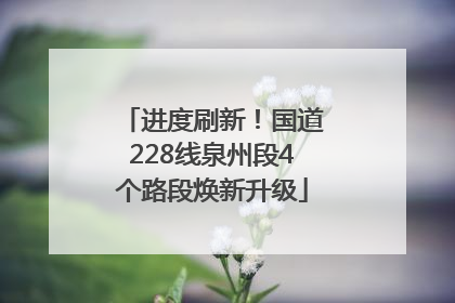 进度刷新！国道228线泉州段4个路段焕新升级