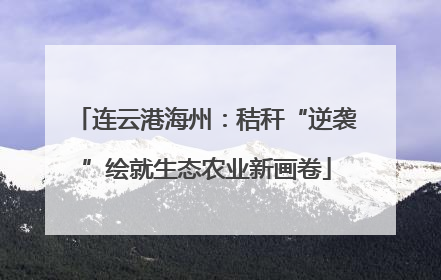 连云港海州：秸秆“逆袭”绘就生态农业新画卷