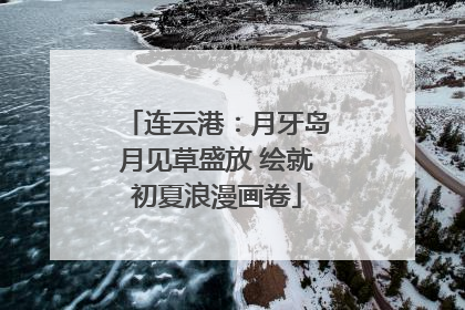 连云港：月牙岛月见草盛放 绘就初夏浪漫画卷