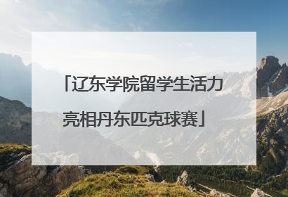 辽东学院留学生活力亮相丹东匹克球赛