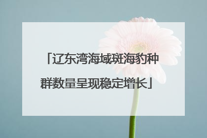 辽东湾海域斑海豹种群数量呈现稳定增长