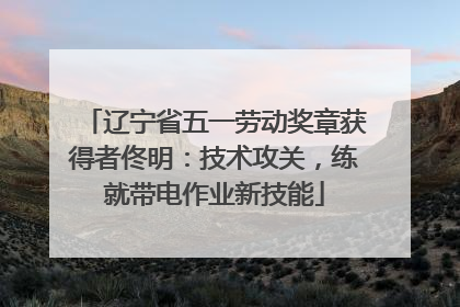 辽宁省五一劳动奖章获得者佟明：技术攻关，练就带电作业新技能