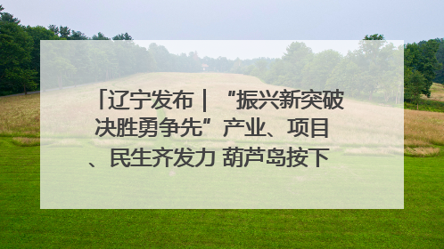 辽宁发布｜“振兴新突破 决胜勇争先”产业、项目、民生齐发力 葫芦岛按下决胜之年“加速键”