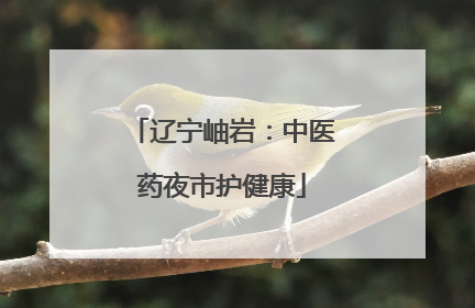 辽宁岫岩：中医药夜市护健康