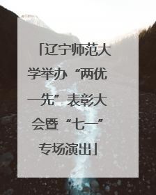 辽宁师范大学举办“两优一先”表彰大会暨“七一”专场演出