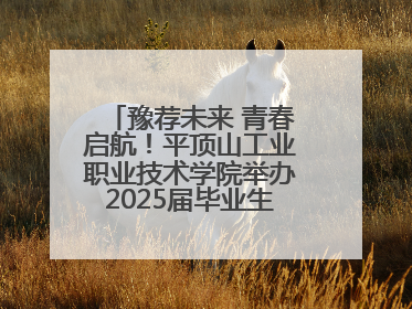 豫荐未来 青春启航！平顶山工业职业技术学院举办2025届毕业生夏季招聘会