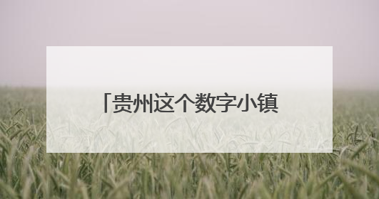 贵州这个数字小镇，“链”就从“0”到“亿”的跨越