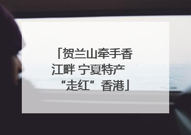 贺兰山牵手香江畔 宁夏特产“走红”香港