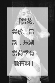 赏花、尝珍、品韵，东湖赏荷季有颜有料