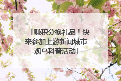 赚积分换礼品！快来参加上游新闻城市观鸟科普活动
