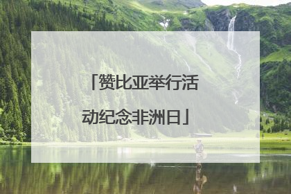 赞比亚举行活动纪念非洲日