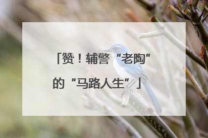 赞！辅警“老陶”的“马路人生”