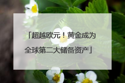 超越欧元！黄金成为全球第二大储备资产
