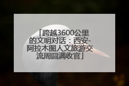 跨越3600公里的文明对话：西安-阿拉木图人文旅游交流周圆满收官