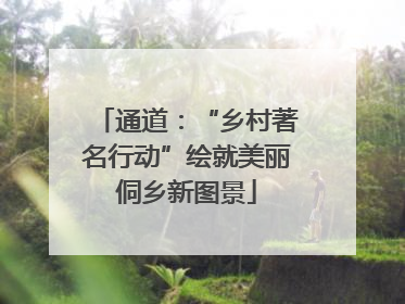 通道：“乡村著名行动”绘就美丽侗乡新图景