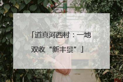 道真河西村：一地双收“新丰景”