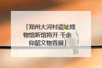 郑州大河村遗址博物馆新馆将开 千余仰韶文物首展