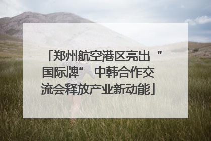 郑州航空港区亮出“国际牌” 中韩合作交流会释放产业新动能