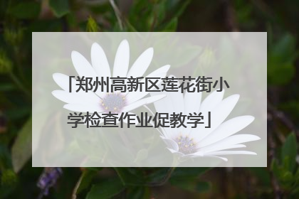 郑州高新区莲花街小学检查作业促教学