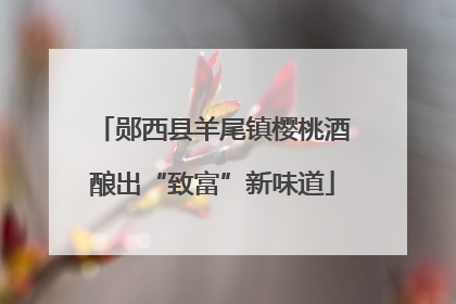 郧西县羊尾镇樱桃酒酿出“致富”新味道