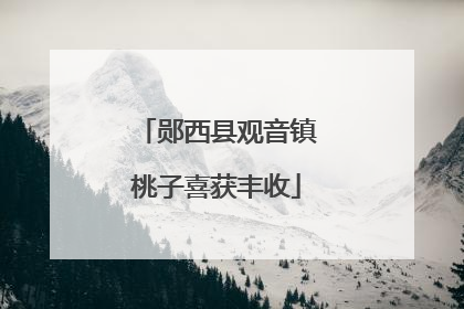郧西县观音镇桃子喜获丰收