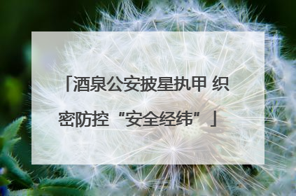 酒泉公安披星执甲 织密防控“安全经纬”