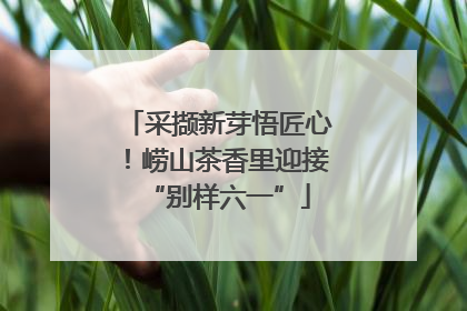 采撷新芽悟匠心！崂山茶香里迎接“别样六一”