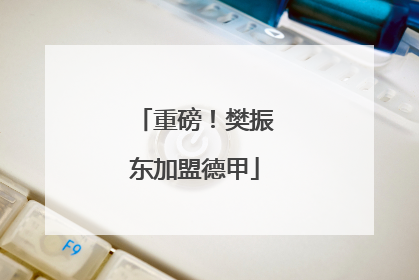 重磅！樊振东加盟德甲