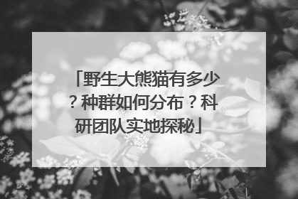 野生大熊猫有多少？种群如何分布？科研团队实地探秘