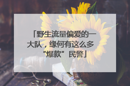 野生流量偏爱的一大队，缘何有这么多“爆款”民警