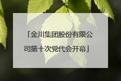 金川集团股份有限公司第十次党代会开幕