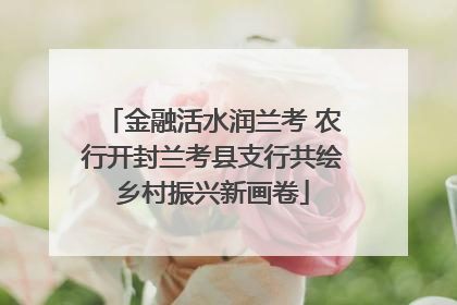 金融活水润兰考 农行开封兰考县支行共绘乡村振兴新画卷