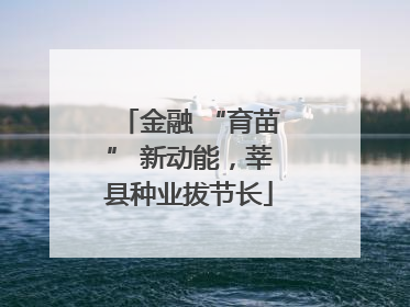 金融 “育苗” 新动能，莘县种业拔节长