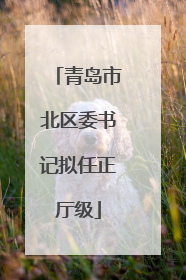 青岛市北区委书记拟任正厅级